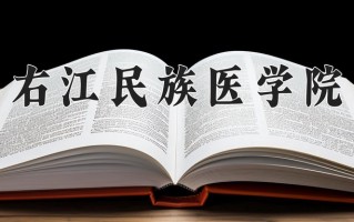 右江民族医学院学费多少钱一年：4200-5400元/年（2025填报参考）