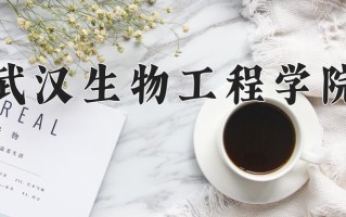 2024年武汉生物工程学院录取分数线，青海最低248分