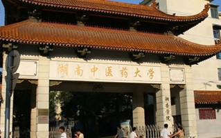 2024年湖南中医药大学湘杏学院录取分数线，新疆最低343分