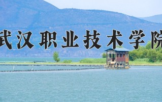 宁夏295分能上什么大学？附2025年可以报考的大学名单
