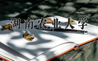 云南572分能上什么大学？附2025年可以报考的大学名单