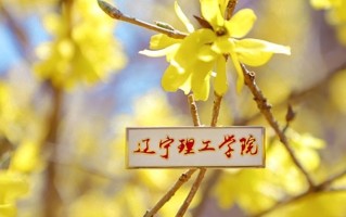 2024年辽宁理工学院录取分数线，新疆最低160分