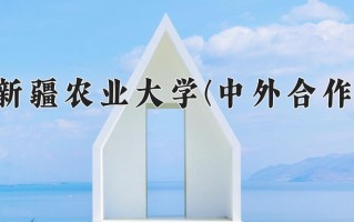 2024新疆农业大学(中外合作)录取分数线，重庆录取最低分476