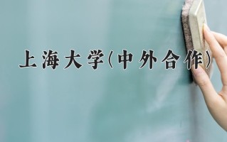2024年上海大学(中外合作)录取分数线，新疆最低496分