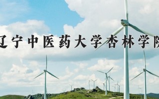 2024年辽宁中医药大学杏林学院录取分数线，宁夏最低395分