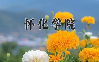 怀化学院最厉害的专业-2024怀化学院最好专业