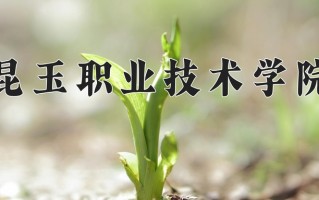 2025年昆玉职业技术学院在新疆计划招生人数（附学费及专业录取分)