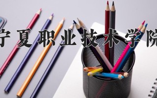 2024年宁夏职业技术学院录取分数线，内蒙古最低223分