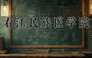 2024右江民族医学院录取分数线，重庆录取最低分498