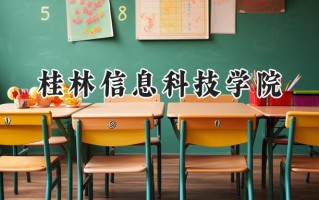 2024桂林信息科技学院录取分数线：陕西最低391分