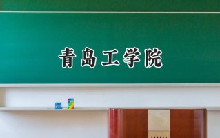 2024青岛工学院录取分数线：河南最低416分