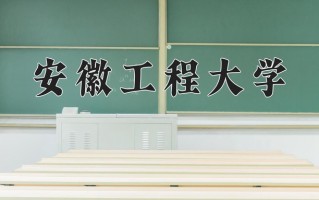 2024安徽工程大学录取分数线：浙江最低489分