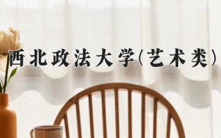 西北政法大学(艺术类)学费多少钱一年：11000-14000元/年（2025填报参考）