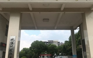 2024武汉科技职业学院录取分数线，重庆录取最低分290