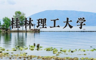 2024年桂林理工大学录取分数线，新疆最低279分