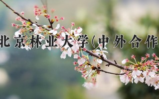 2024北京林业大学(中外合作)录取分数线，重庆录取最低分547