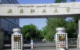 2024年新疆职业大学录取分数线，河北最低311分