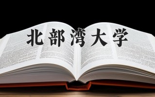 北部湾大学学费多少钱一年：3800-60000元/年（2025填报参考）