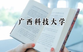 广西科技大学2024在山东录取分数线是多少？最低460分/最高526分