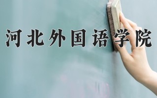 2024年河北外国语学院录取分数线，新疆最低271分