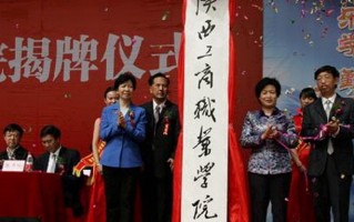 2024陕西工商职业学院录取分数线，重庆录取最低分315