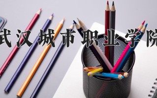 2024武汉城市职业学院录取分数线：浙江最低269分