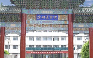 2024年滨州医学院录取分数线，新疆最低353分