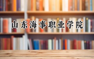 2024山东海事职业学院录取分数线：江苏最低258分