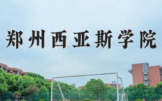 2024郑州西亚斯学院录取分数线，重庆录取最低分449