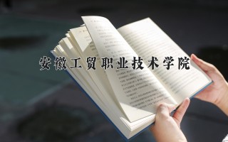2024年安徽工贸职业技术学院录取分数线，河北最低336分