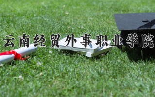 2024云南经贸外事职业学院录取分数线，重庆录取最低分180
