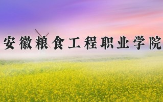 2024安徽粮食工程职业学院录取分数线：浙江最低454分