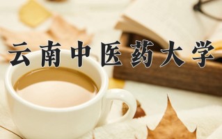2024年云南中医药大学录取分数线，内蒙古最低486分