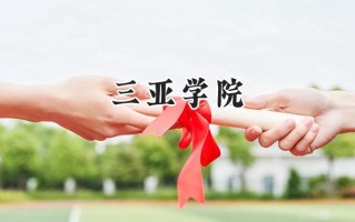三亚学院2024在上海录取分数线是多少？最低391分/最高419分