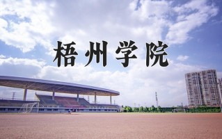 2024梧州学院录取分数线，重庆录取最低分492