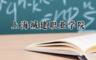 上海城建职业学院2024在山东录取分数线是多少？最低402分/最高474分
