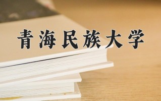 2024年青海民族大学录取分数线，内蒙古最低385分
