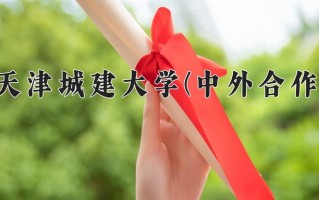 2024天津城建大学(中外合作)录取分数线，重庆录取最低分477