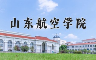 2024山东航空学院录取分数线，重庆录取最低分493