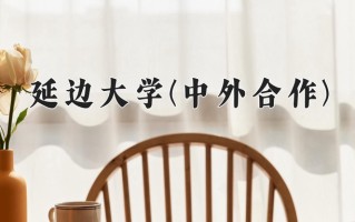 2024年延边大学(中外合作)录取分数线，内蒙古最低495分
