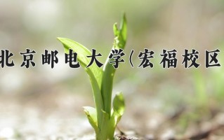 电信工程及管理专业学费多少？附江苏2024年招收的大学