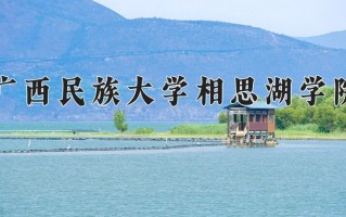 2024广西民族大学相思湖学院录取分数线：浙江最低524分