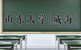 2024年山东大学(威海)录取分数线，青海最低423分