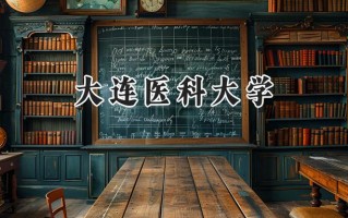 大连医科大学2024在上海录取分数线是多少？最低520分/最高548分