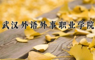 云南300分能上什么大学？附2025年可以报考的大学名单
