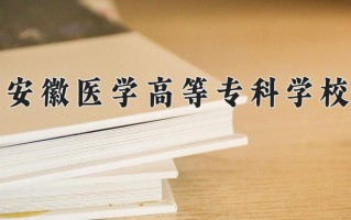 2024安徽医学高等专科学校录取分数线：浙江最低467分