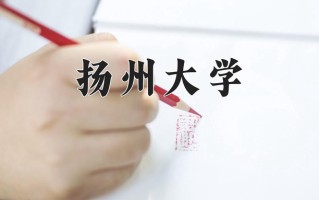 江苏511分能上什么好大学？附2025年可以报考的大学名单