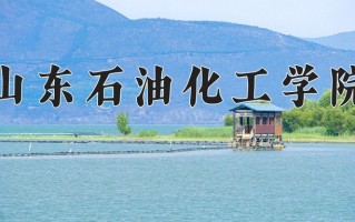 2024年山东石油化工学院录取分数线，新疆最低365分