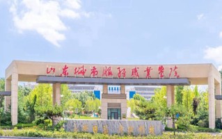 2024年山东城市服务职业学院录取分数线，河北最低325分