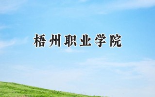 2024梧州职业学院录取分数线：山西最低204分